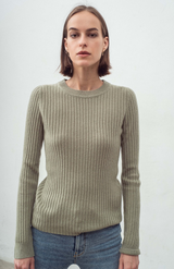 Aleger Dark Moss N.289C Pullover