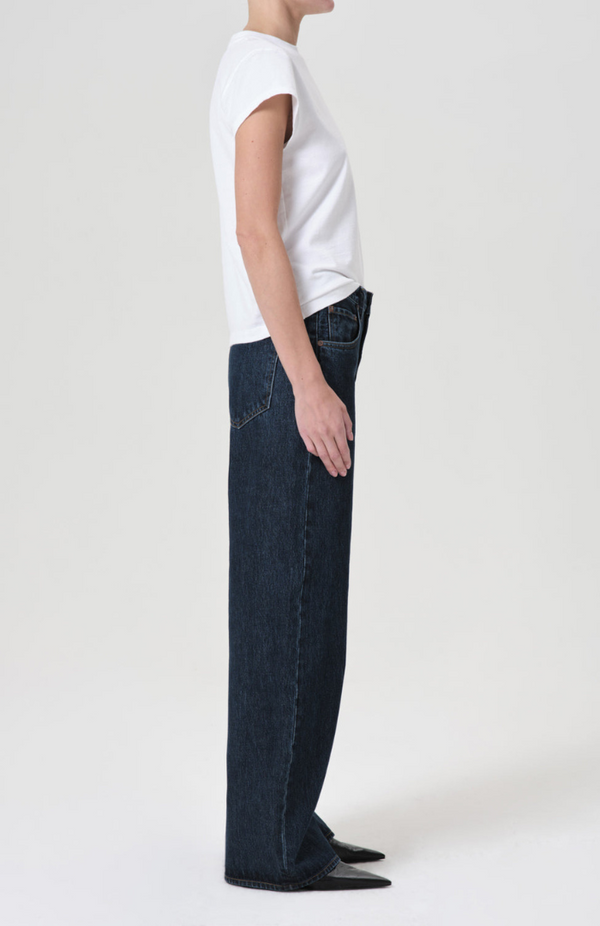 Agolde Pendulum Low Curve Jean