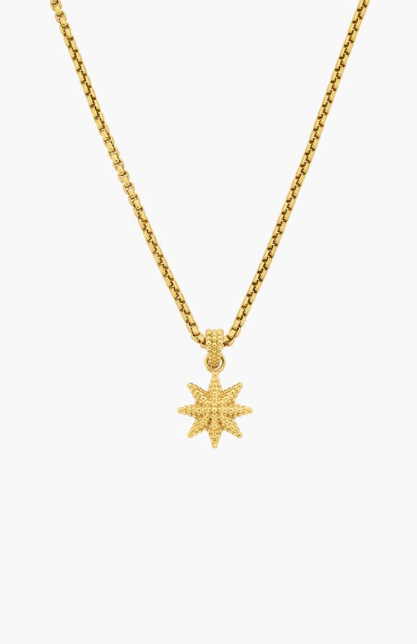 Zoe & Morgan 22k Gold Plate Morning Star Necklace