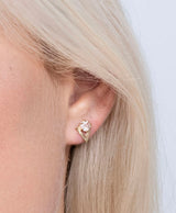 Zoe & Morgan 22k Gold Plate With Rose Quartz Violet Earrings